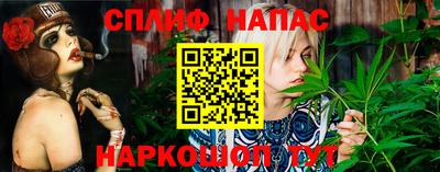 apvp Брянск