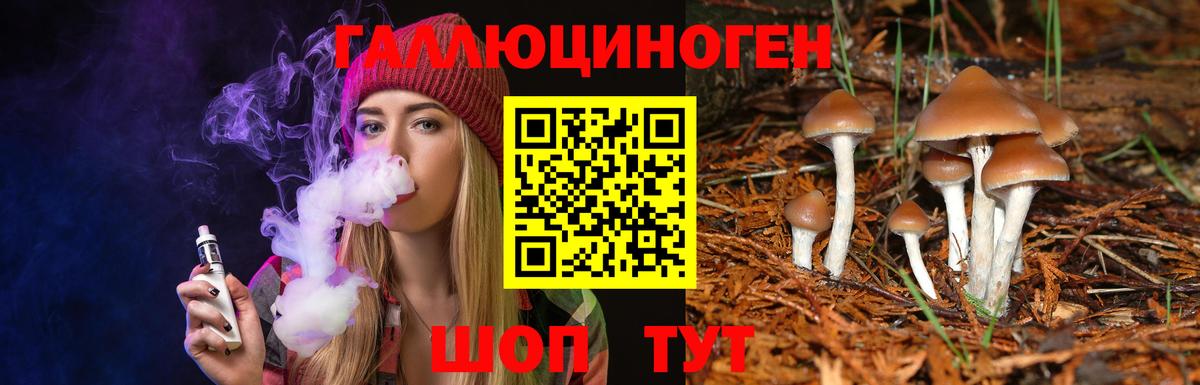 Карпинск  где продают наркотики  Вход с VPN  Псилоцибиновые грибы прущие грибы 